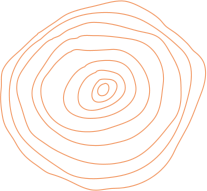 A circular pattern of orange lines on green.