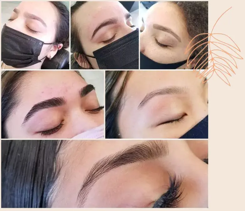 A collage of photos with different types of eye brows.